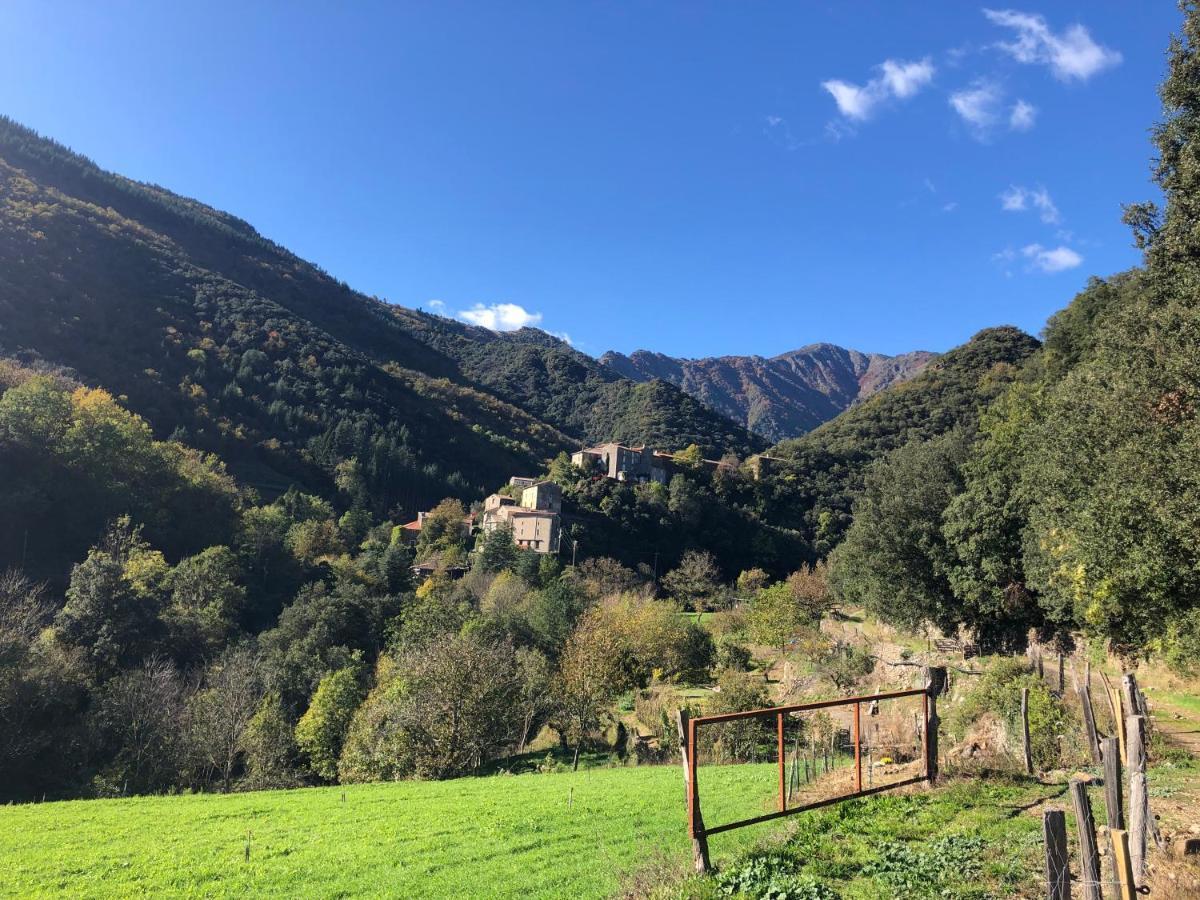 לינה וארוחת בוקר ואלרוג Le Moulin De Bouzigue מראה חיצוני תמונה