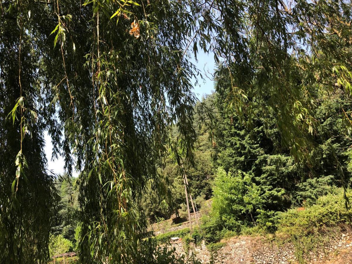לינה וארוחת בוקר ואלרוג Le Moulin De Bouzigue מראה חיצוני תמונה