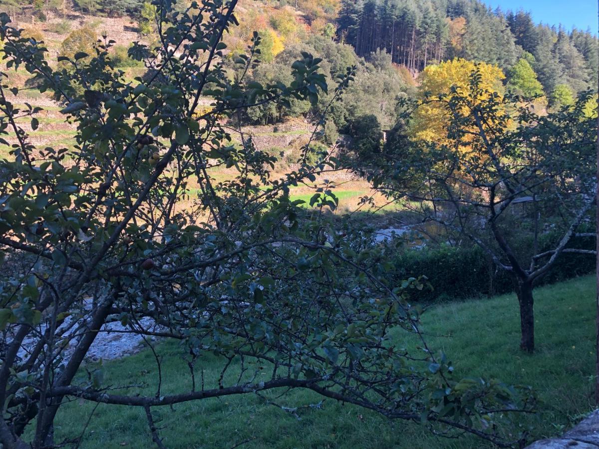לינה וארוחת בוקר ואלרוג Le Moulin De Bouzigue מראה חיצוני תמונה